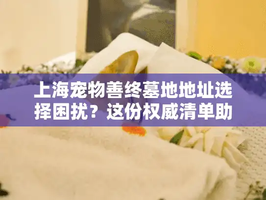 上海宠物善终墓地地址选择困扰？这份权威清单助您告别烦恼