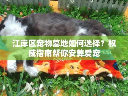 江岸区宠物墓地如何选择？权威指南帮你安葬爱宠