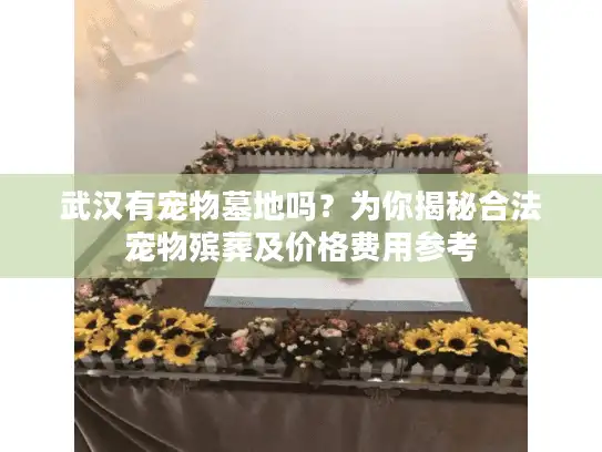 武汉有宠物墓地吗？为你揭秘合法宠物殡葬及价格费用参考