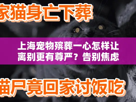 上海宠物殡葬一心怎样让离别更有尊严？告别焦虑解决方案