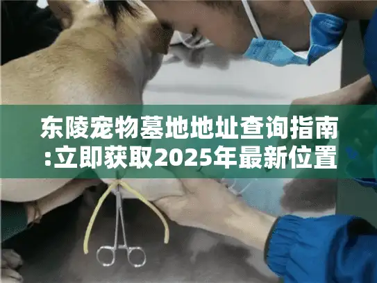东陵宠物墓地地址查询指南:立即获取2025年最新位置信息