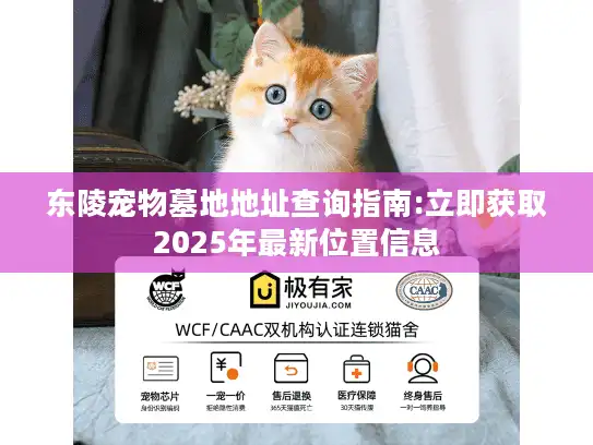 东陵宠物墓地地址查询指南:立即获取2025年最新位置信息