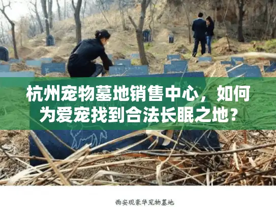 杭州宠物墓地销售中心，如何为爱宠找到合法长眠之地？