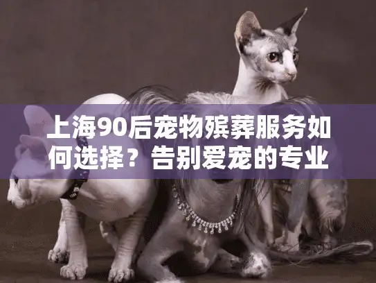 上海90后宠物殡葬服务如何选择？告别爱宠的专业指南