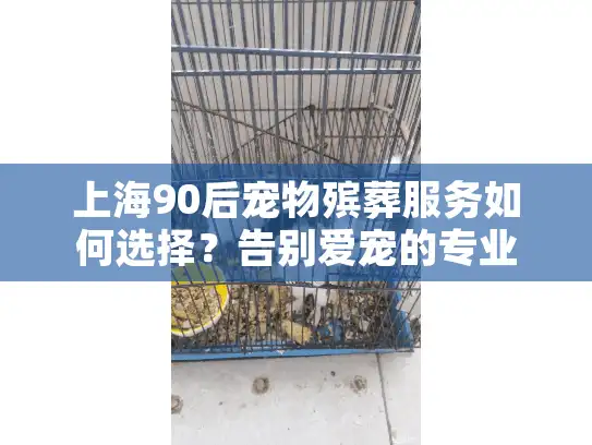 上海90后宠物殡葬服务如何选择？告别爱宠的专业指南