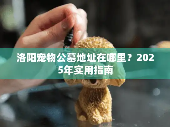 洛阳宠物公墓地址在哪里？2025年实用指南