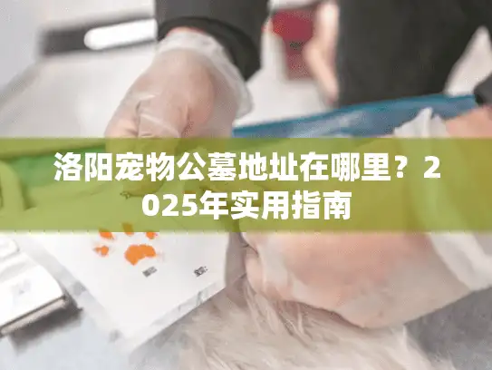 洛阳宠物公墓地址在哪里？2025年实用指南