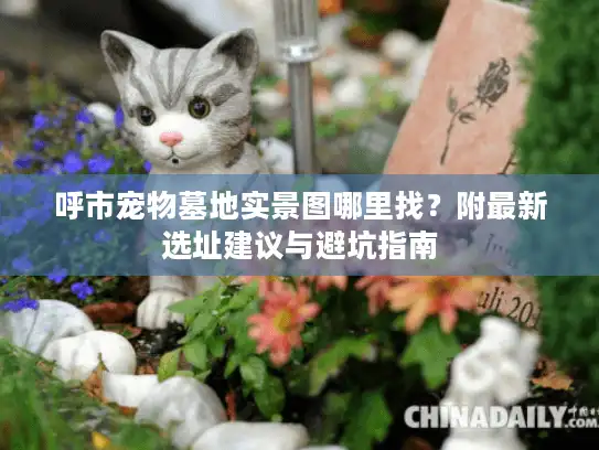 呼市宠物墓地实景图哪里找？附最新选址建议与避坑指南