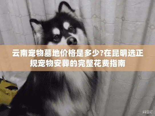 云南宠物墓地价格是多少?在昆明选正规宠物安葬的完整花费指南