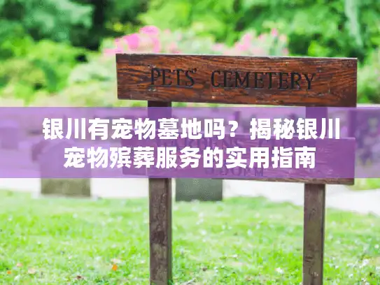 银川有宠物墓地吗？揭秘银川宠物殡葬服务的实用指南