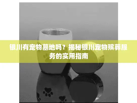 银川有宠物墓地吗？揭秘银川宠物殡葬服务的实用指南