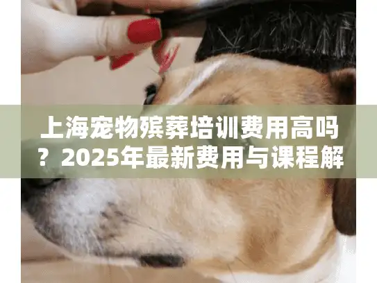 上海宠物殡葬培训费用高吗？2025年最新费用与课程解析指南