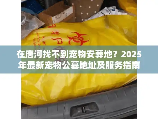 在唐河找不到宠物安葬地？2025年最新宠物公墓地址及服务指南