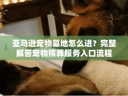 亚马逊宠物墓地怎么进？完整解答宠物殡葬服务入口流程