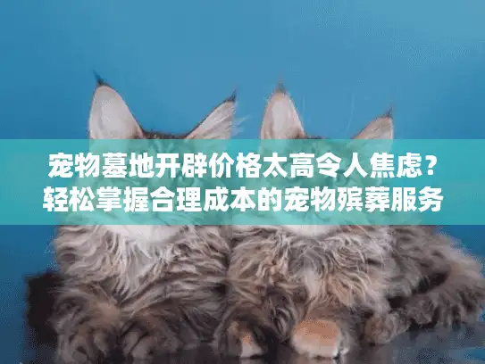 宠物墓地开辟价格太高令人焦虑？轻松掌握合理成本的宠物殡葬服务指南