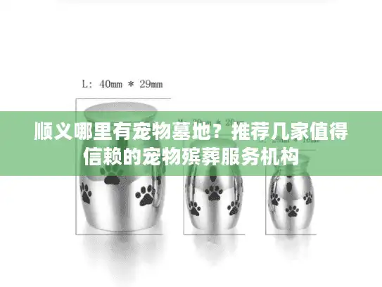 顺义哪里有宠物墓地？推荐几家值得信赖的宠物殡葬服务机构