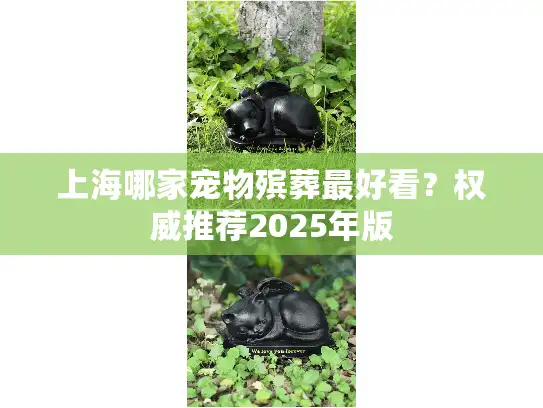 上海哪家宠物殡葬最好看？权威推荐2025年版
