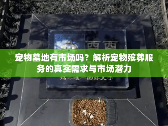 宠物墓地有市场吗？解析宠物殡葬服务的真实需求与市场潜力