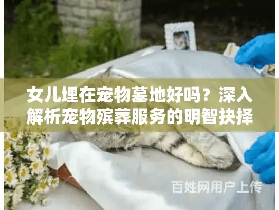 女儿埋在宠物墓地好吗？深入解析宠物殡葬服务的明智抉择