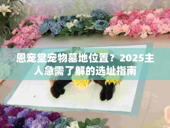 恩宠堂宠物墓地位置？2025主人急需了解的选址指南