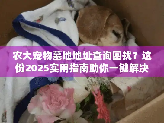 农大宠物墓地地址查询困扰？这份2025实用指南助你一键解决