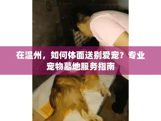 在温州，如何体面送别爱宠？专业宠物墓地服务指南