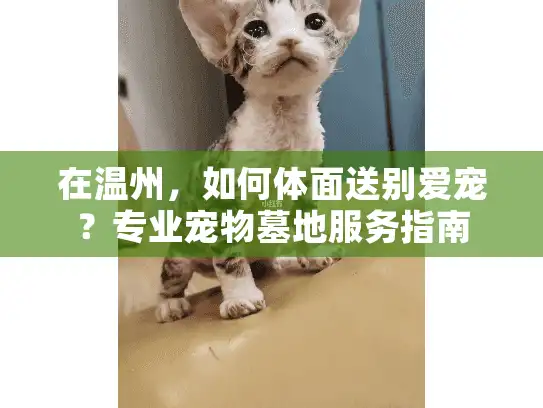 在温州，如何体面送别爱宠？专业宠物墓地服务指南