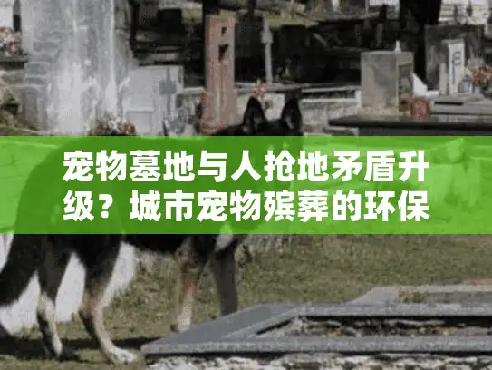 宠物墓地与人抢地矛盾升级？城市宠物殡葬的环保新方案