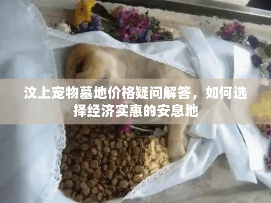 汶上宠物墓地价格疑问解答，如何选择经济实惠的安息地