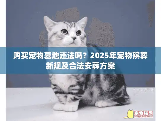 购买宠物墓地违法吗？2025年宠物殡葬新规及合法安葬方案