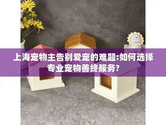 上海宠物主告别爱宠的难题:如何选择专业宠物善终服务?