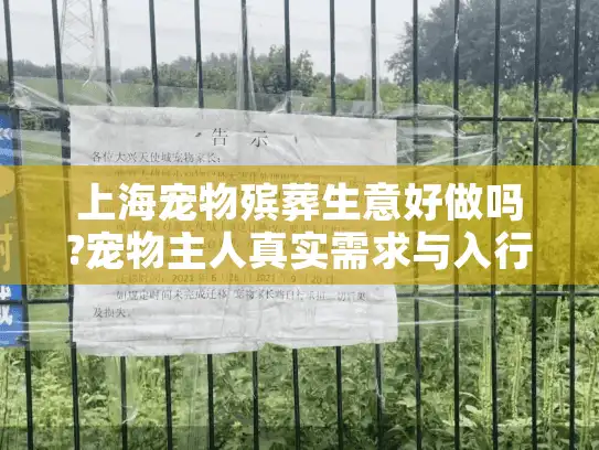 上海宠物殡葬生意好做吗?宠物主人真实需求与入行避坑指南