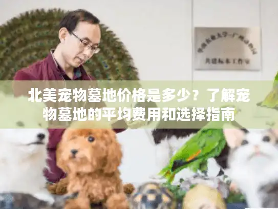 北美宠物墓地价格是多少？了解宠物墓地的平均费用和选择指南