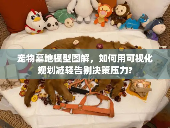 宠物墓地模型图解，如何用可视化规划减轻告别决策压力?