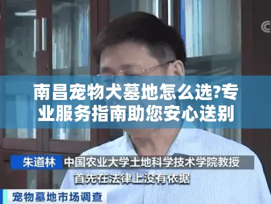 南昌宠物犬墓地怎么选?专业服务指南助您安心送别