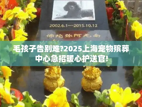 毛孩子告别难?2025上海宠物殡葬中心急招暖心护送官!