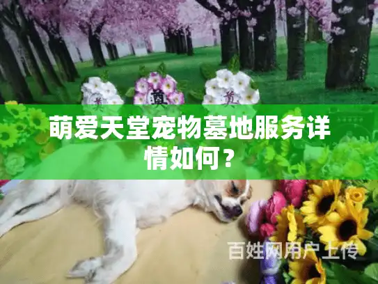 萌爱天堂宠物墓地服务详情如何？