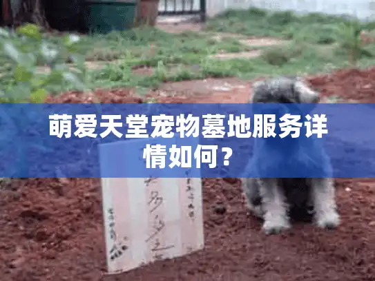 萌爱天堂宠物墓地服务详情如何？