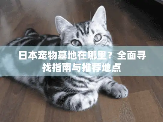 日本宠物墓地在哪里？全面寻找指南与推荐地点
