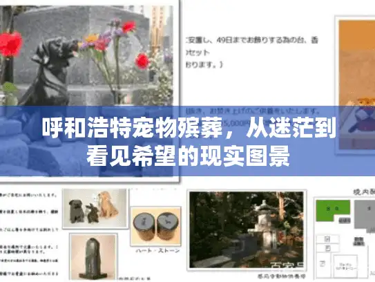 呼和浩特宠物殡葬，从迷茫到看见希望的现实图景