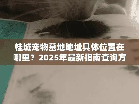 桂城宠物墓地地址具体位置在哪里？2025年最新指南查询方法