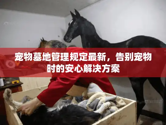 宠物墓地管理规定最新，告别宠物时的安心解决方案