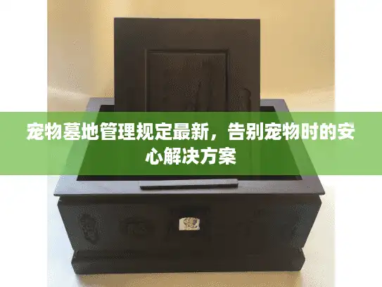 宠物墓地管理规定最新，告别宠物时的安心解决方案