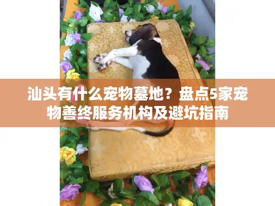 汕头有什么宠物墓地？盘点5家宠物善终服务机构及避坑指南