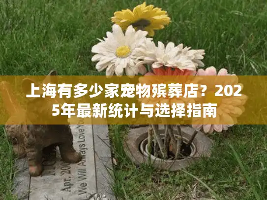 上海有多少家宠物殡葬店？2025年最新统计与选择指南