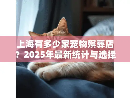 上海有多少家宠物殡葬店？2025年最新统计与选择指南