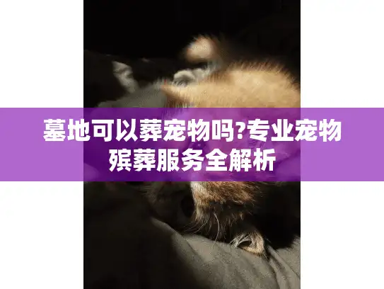 墓地可以葬宠物吗?专业宠物殡葬服务全解析