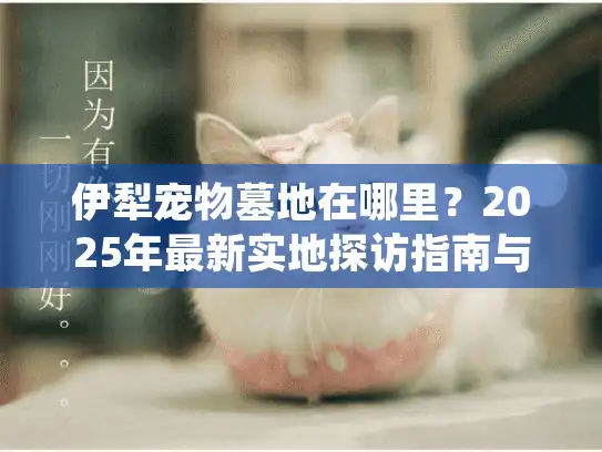 伊犁宠物墓地在哪里？2025年最新实地探访指南与告别方案推荐