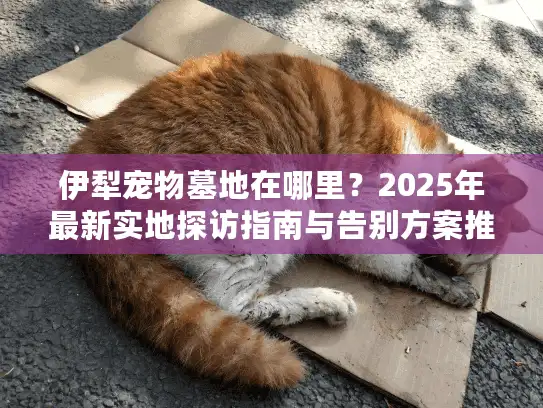 伊犁宠物墓地在哪里？2025年最新实地探访指南与告别方案推荐