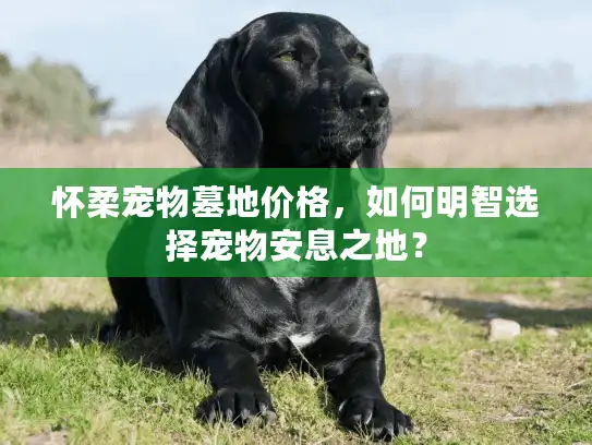 怀柔宠物墓地价格，如何明智选择宠物安息之地？
